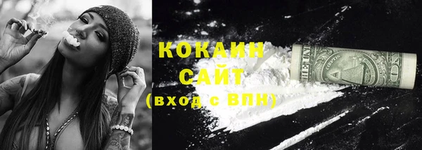 стафф Елизово