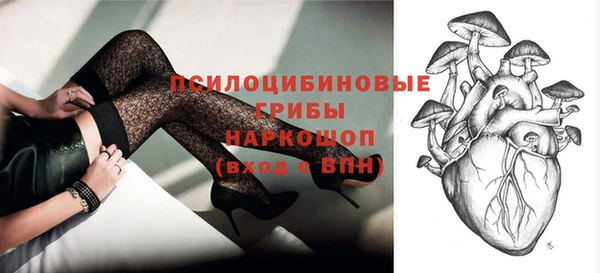 стафф Елизово