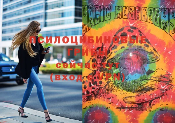 mdma Елабуга