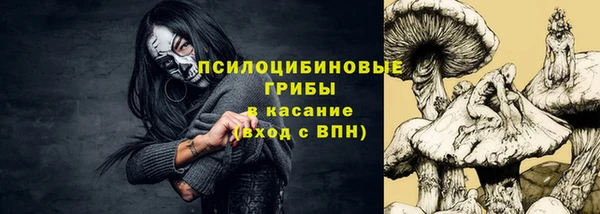 mdma Ельня