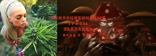 mdma Ельня