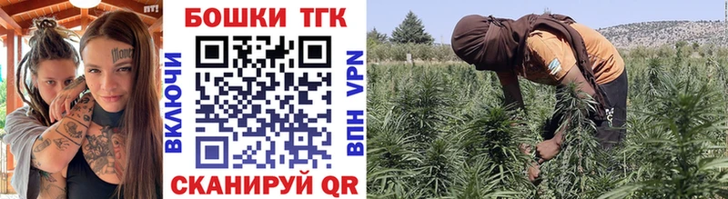 Купить  Кемь  Каннабис гибрид 